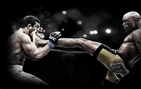 Image result for MMA Moves