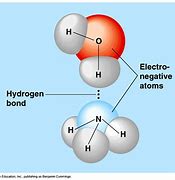 Image result for Triple Bond Molecules