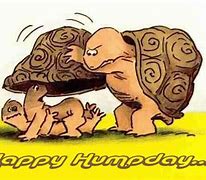 Image result for Cartoon Hump Day Meme