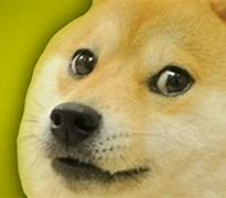 Image result for Hello Doge Dog Meme