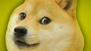 Image result for 1080Px1080px Dog Meme