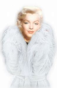 Image result for Marilyn Monroe Fur