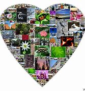 Image result for Photo Collage Posterboard Banner