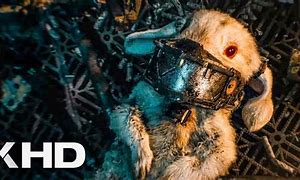 Image result for Guardians of the Galaxy 3 Star Child