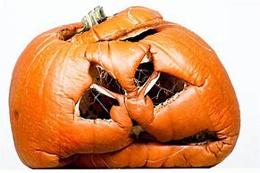 Image result for Rotten Pumpkin