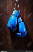 Image result for Two Boxing Gloves