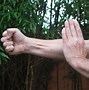 Image result for Crane Style Kung Fu
