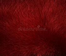 Image result for Grass Pattern Photoshop