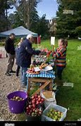 Image result for Apple Day Britain