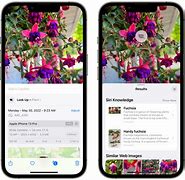 Image result for Apple iPhone Apps for House Plants