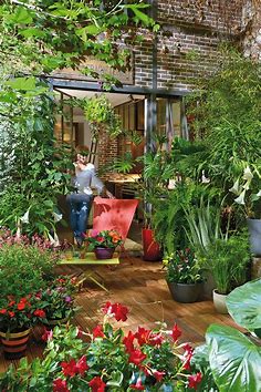 Le jardin des tropiques ! | Cottage garden, Courtyard garden, Dream garden