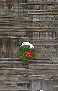 Image result for Barn Wood Texture