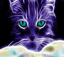 Image result for Fractal Purple Cat