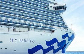 Image result for Princess Love Boat Cruise Ship