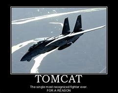 Image result for F-14 Memes