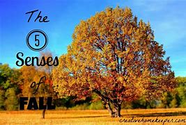 Image result for Trees with Five Senses