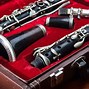 Image result for Piccolo Clarinet Case