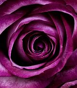 Image result for Ajfon 5 Roze