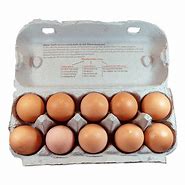 Image result for Egg Carton Box