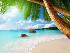 Image result for Vertical Live Wallpaper Sea