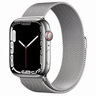 Image result for Apple Watch SE Stainless Steel