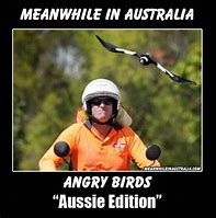 Image result for Funny Memes About Australia