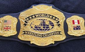 Image result for World Wrestling Championship Belts