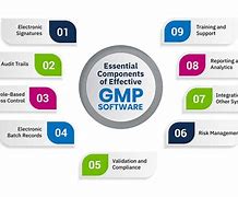 Image result for Components of GMP