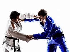 Image result for Judo Stance