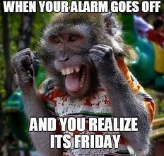 Image result for Good Morning Friday Work Memes Funny
