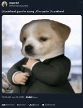 Image result for Meme Dog Waring a Hody