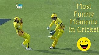 Image result for Funny Jokes About Cricket