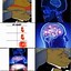 Image result for Points to Brain Meme