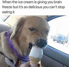 Image result for Funny Doggo