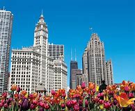 Image result for Famous Chicago Buildings