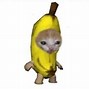 Image result for Banana Cat Meme