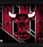 Image result for Chicago Bulls Banner Art
