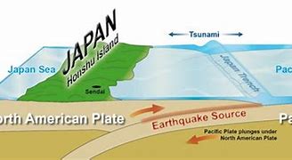 Image result for Tohoku Tectonic Plates