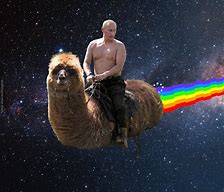 Image result for Funny Putin Pics