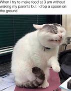 Image result for Cats at 3Am Meme