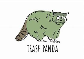 Image result for Trash Panda Drawing