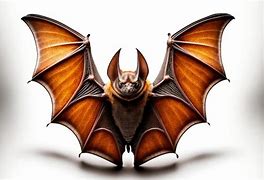 Image result for Evil Bat Taker