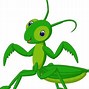 Image result for Grasshopper Cartoon