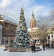 Image result for Christmas in the Hague Netherlands