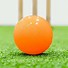 Image result for Cricket Items