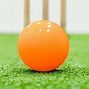 Image result for Oversized Balls for Kids Cricket Program