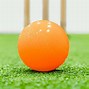 Image result for Police Cricket Items