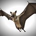 Image result for Bat Texture