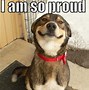 Image result for Proud of You Animal Meme