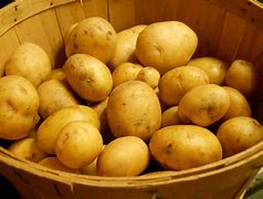 Image result for Yukon Gold Potatoes